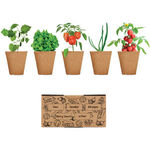 Salad Growing Kit
