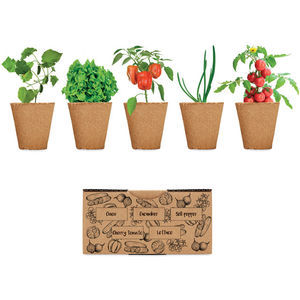 Salad Growing Kit