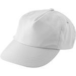 RPET cap - 5 panels