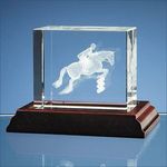 3D Showjumper in Optical Crystal Block