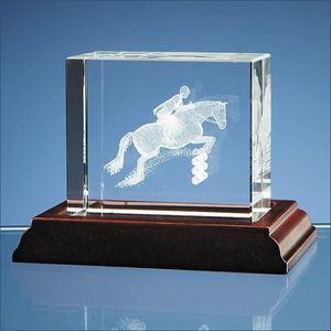 3D Showjumper in Optical Crystal Block