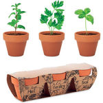 Terracotta 3 Herb Pot Set