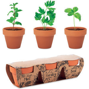 Terracotta 3 Herb Pot Set