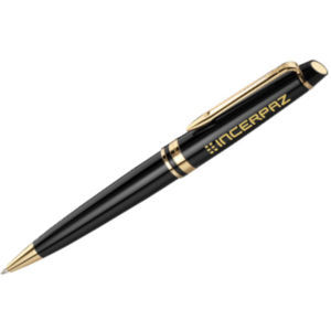 Waterman Expert ballpoint pen