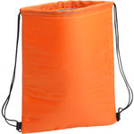 Nipex cooler bag