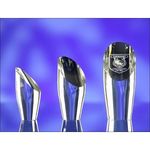 Curved Cylinder Award