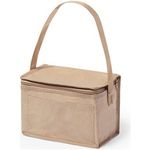 Laminated paper cooler bag