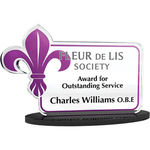 Bespoke Shaped Acrylic Awards with Acrylic Base - Medium