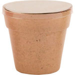 Petunia flower pot