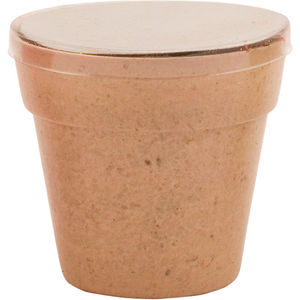 Petunia flower pot