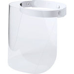 Face Shield