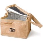 Paper woven cooler bag