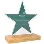 Bespoke Shaped Acrylic Awards with Real Wood Base - small