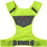 Vest with light
