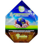 Award - Heptagonal