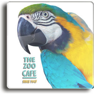 Acrylic Coaster - Recycled/Recyclable 3mm Acrylic