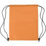 Drawstring cooler bag