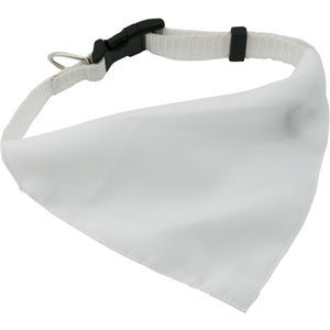 Roco dog's collar