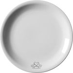 Ceramic Plate - Narrow Rim (22cm/8.6)