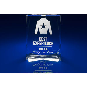 Crystal Glass Staff Award or Trophy