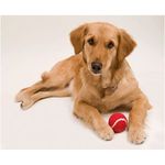 Dog Tennis Ball