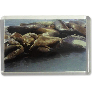 Acrylic Fridge Magnet