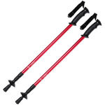 Brulen nordic walking sticks