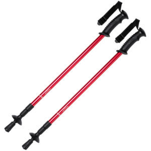 Brulen nordic walking sticks
