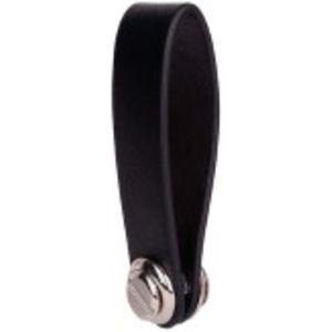Organizer keyring