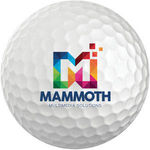ProTech LogoBalls - Air (Bulk Packed) (Full Colour Print)