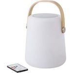 Wireless speaker LED light
