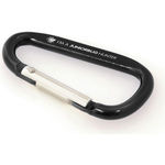 Carabiner (UK stock)