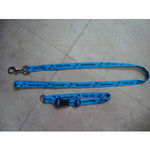Dog leads
