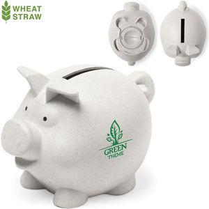 Money Box Darfil