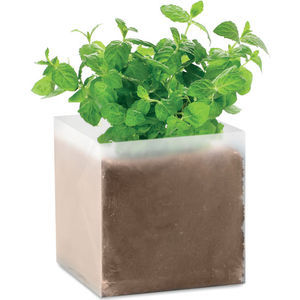 Compost With Seeds