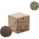 Seed Bomb Growing Kit