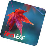 Sticky Screen Cleaner with Backing Card (Full Colour Print)