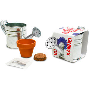 Zinc Watering Can