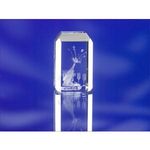 3d Laser Engraved Bevelled Top Award