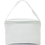 Cooler bag - Non-Woven 80 g/m2 Aluminium Foil