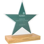 Bespoke Shaped Acrylic Awards with Real Wood Base - Large