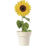 Tumil Flower Pot