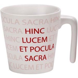 Spike Earthenware Mug