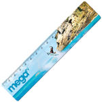 15cm Ruler (Spot Colour Print)