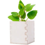 Merin mint herb pot
