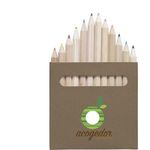 Pastelli coloured pencils