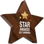 Large Real Wood Block Awards - Complex Shapes