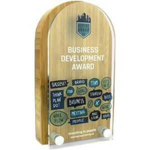 Bamboo Block Award with Acrylic Face - small