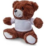 Plush teddy bear  Roger Brown