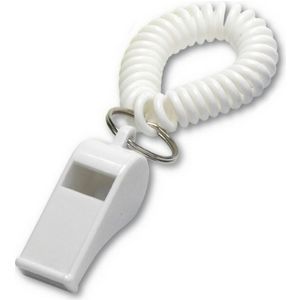 Whistle